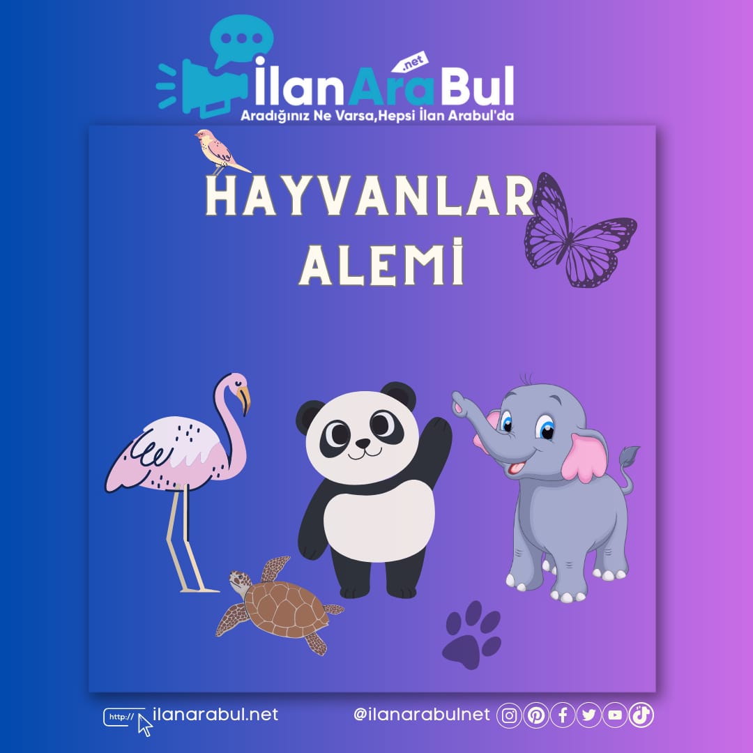 Ücretsiz Hayvanlar Alemi İlan Ver