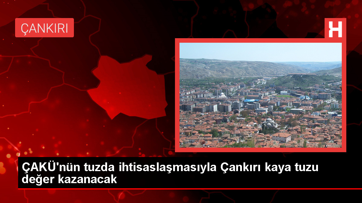 Çankırı Karatekin Üniversitesi Tuz Üzerine İhtisaslaşıyor