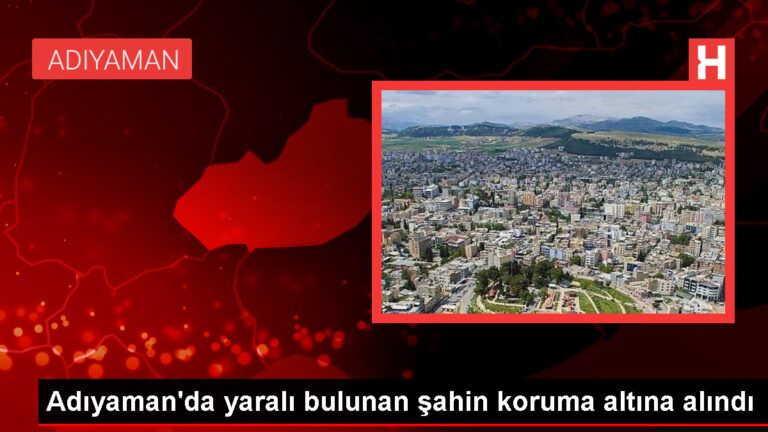 Adıyaman’da yaralı şahin koruma altına alındı