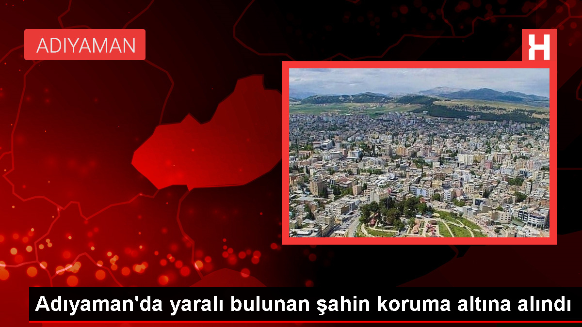 Adıyaman’da yaralı şahin koruma altına alındı