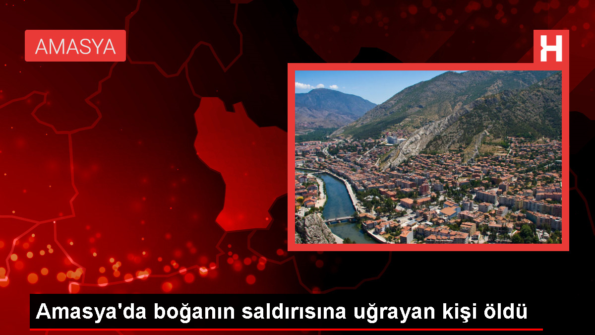 Amasya’da boğanın saldırısına uğrayan kişi hayatını kaybetti