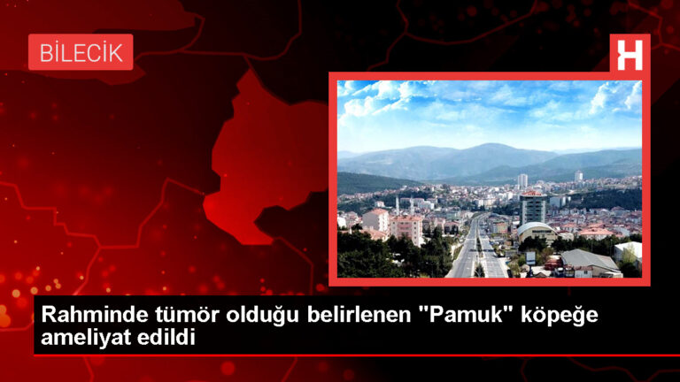 Bilecik’te Köpeğin Rahmindeki Tümör Cerrahi Operasyonla Alındı