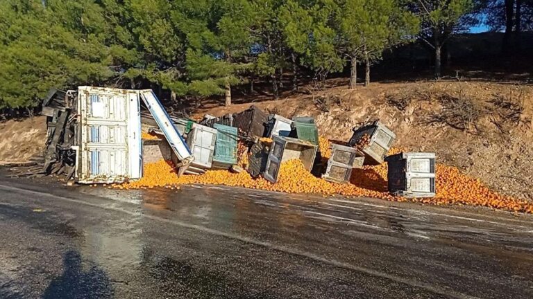 Denizli’de Kamyonun Dorsesi Koptu, Tonlarca Mandalina Yola Saçıldı