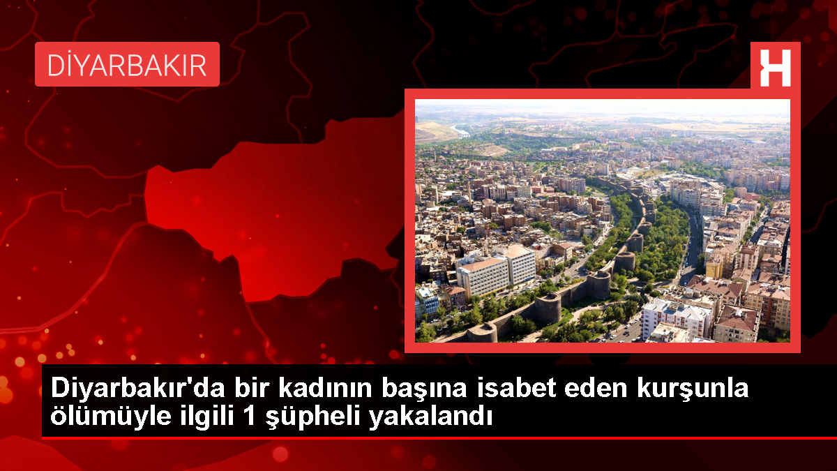 Diyarbakır’da bayanın meskeninde başına kurşun isabet etmesi sonucu vefatıyla ilgili kuşkulu gözaltına alındı