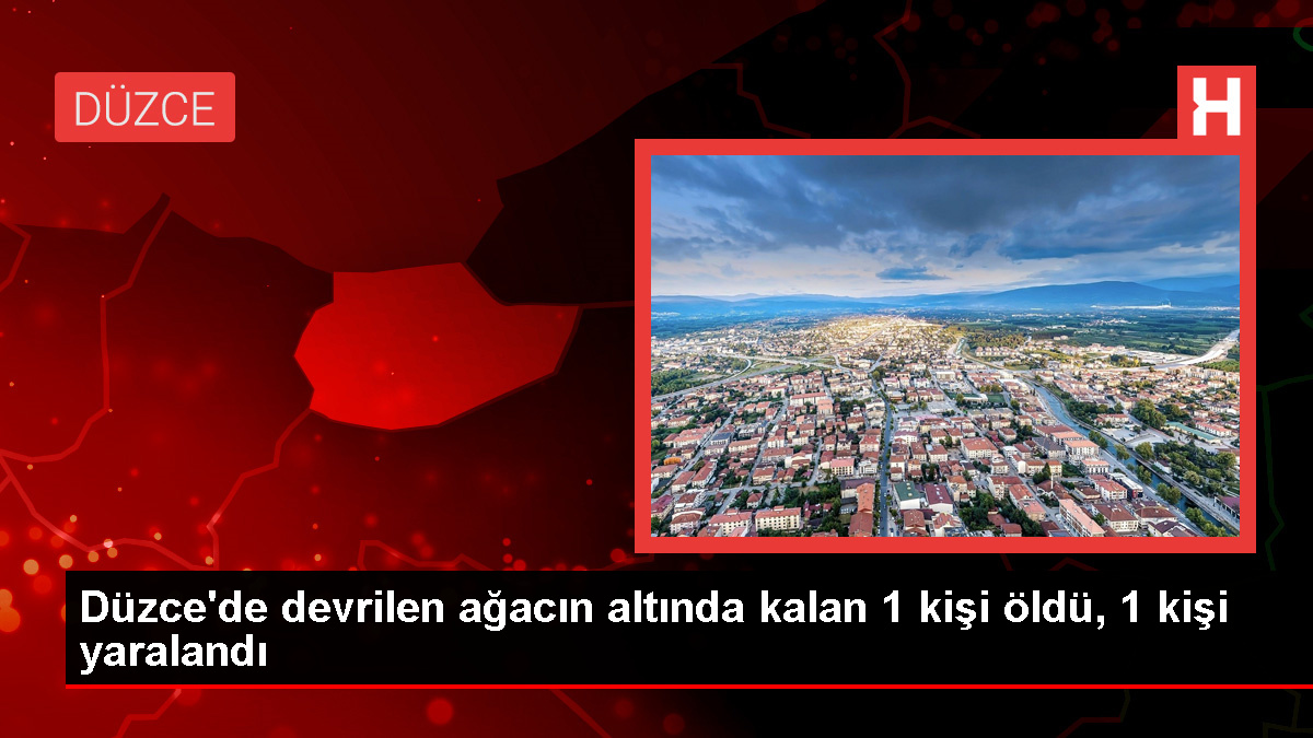 Düzce’de devrilen ağacın altında kalan kadın hayatını kaybetti