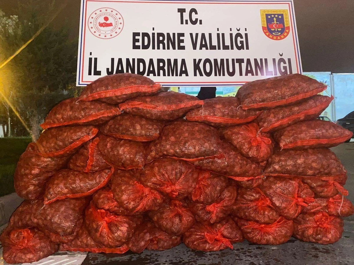 Edirne’de Yasak Midye Operasyonu