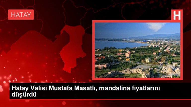 Hatay Valisi Mustafa Masatlı, mandalina fiyatlarını düşürdü