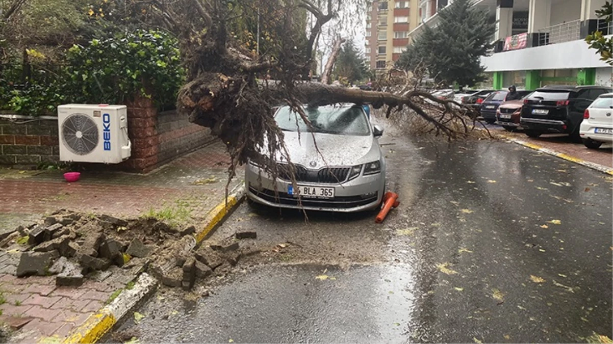 İstanbul’da yağış ve fırtına! Ağaç otomobilin üzerine devrildi, İETT otobüsünü su bastı