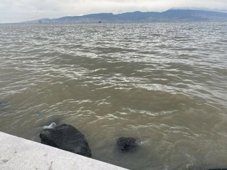 İzmir Körfezi Sağanak Sonrası Çamur Rengine Büründü