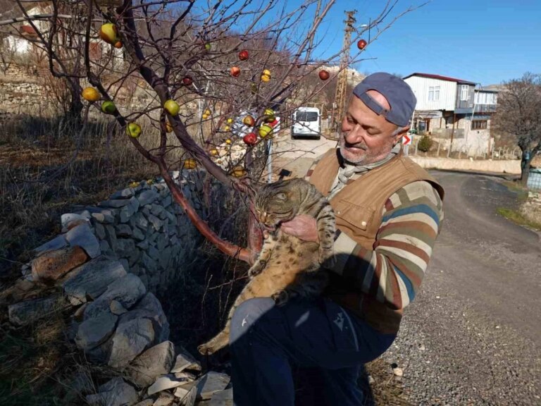 Kahramanmaraşlı emekli asker doğaya yem bırakıyor