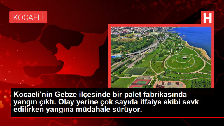 Kocaeli’nin Gebze ilçesinde bir palet fabrikasında yangın çıktı. Olay yerine çok sayıda itfaiye grubu sevk edilirken yangına müdahale sürüyor.