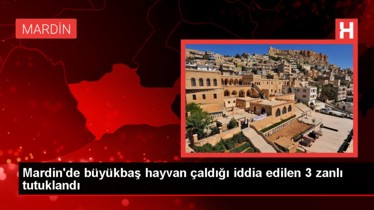 Mardin’de hayvan hırsızlarına operasyon: 3 kuşkulu tutuklandı