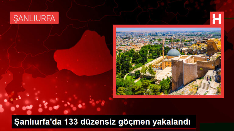 Şanlıurfa’da 133 düzensiz göçmen yakalandı