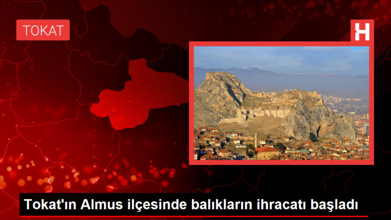 Tokat’ın Almus ilçesinde balıkların ihracatı başladı