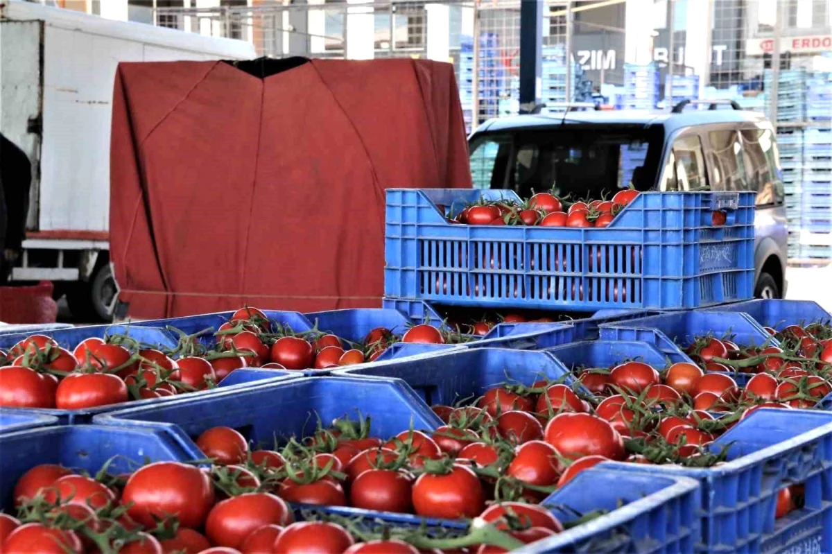 Antalya’da Domates, Sebze ve Meyve Fiyatları Arttı