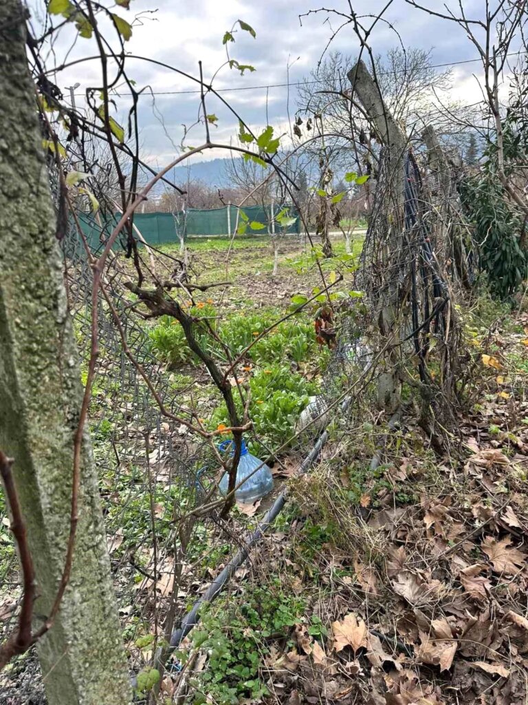 Bursa’da Bağ Evlerine Dadanan Hırsızlar 3 Ayrı Yerden Hırsızlık Yaptı