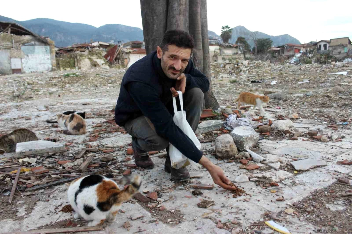 Depremin Vurduğu Hatay’da Sokak Hayvanlarına Yardım