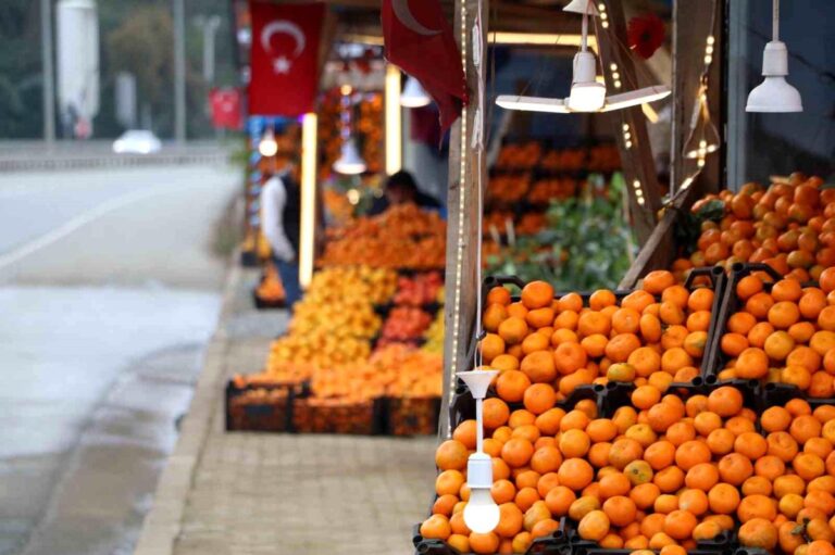 Derepazarı Mandalinası Hasadı Yapıldı, Ancak Satışlar Düştü