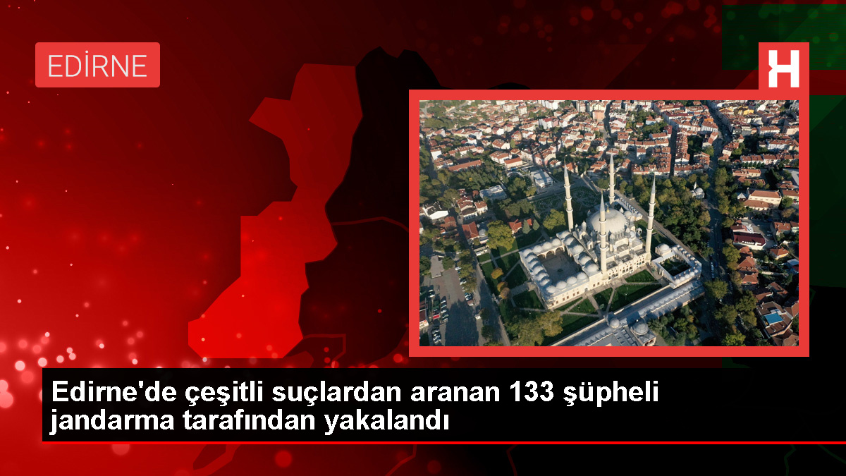 Edirne’de 133 şüpheli yakalandı