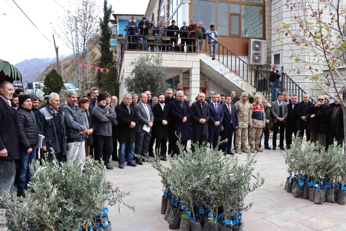 Erzurum’un Oltu ilçesinde zeytin fidanları dağıtıldı