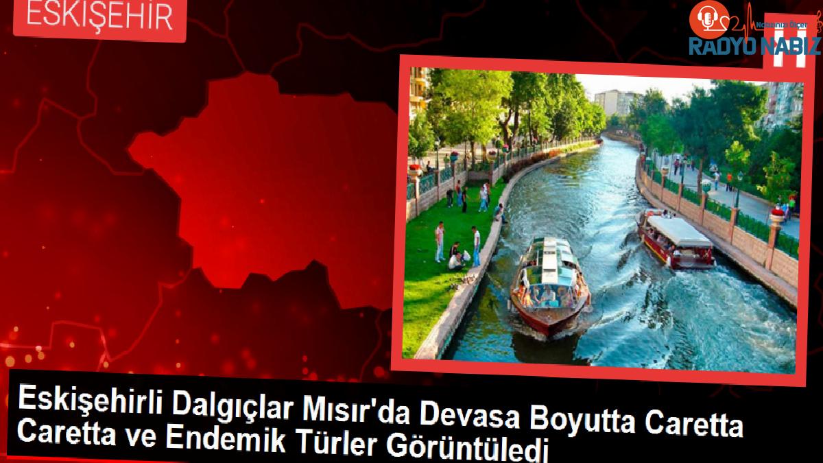 Eskişehirli Dalgıçlar Mısır’da Devasa Boyutta Caretta Caretta ve Endemik Tipler Görüntüledi