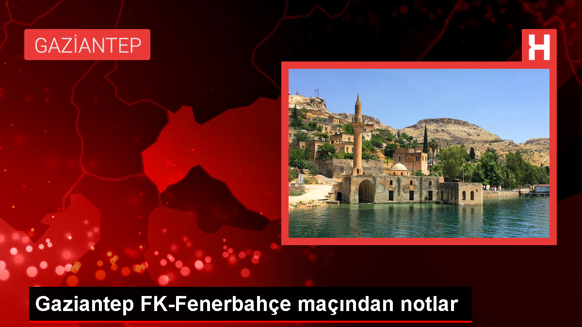 Gaziantep FK-Fenerbahçe maçından notlar