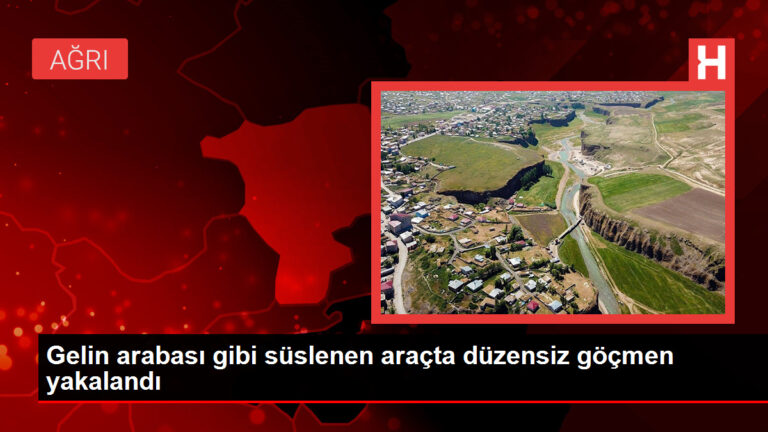 Gelin arabası gibi süslenen araçta düzensiz göçmen yakalandı