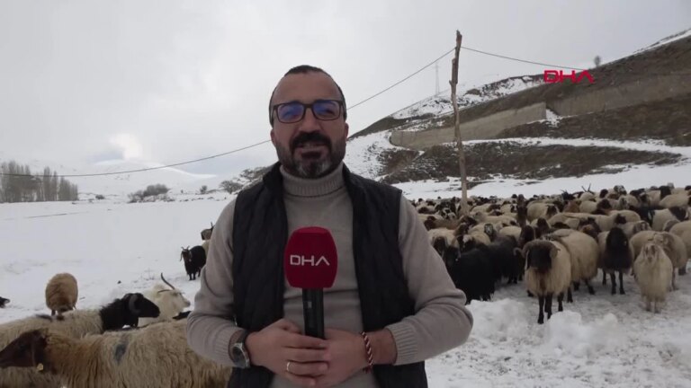 İranlı çoban, Hakkari’de hayvanlara bakıyor