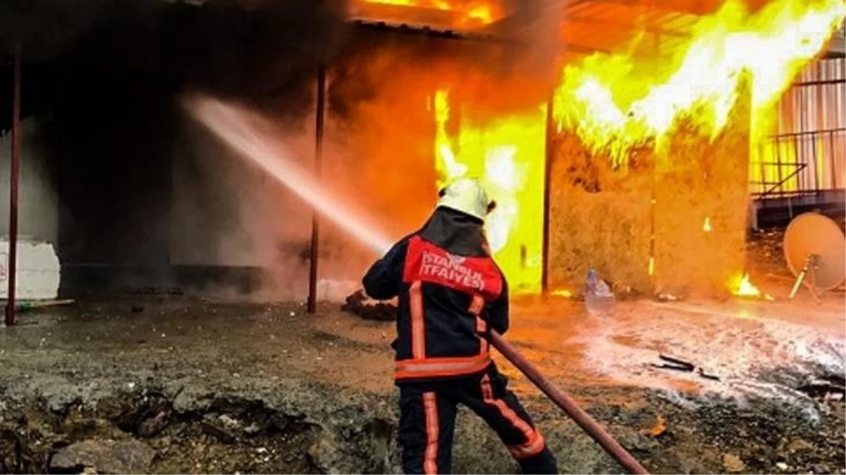 İstanbul’da çalışanların kaldığı konteynerde çıkan yangında 3 emekçi hayatını kaybetti, 2 personel yaralandı