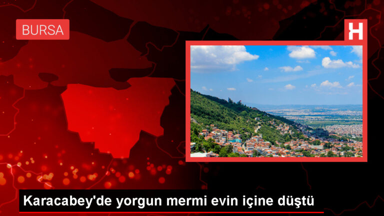 Karacabey’de Evine Yorgun Mermi İsabet Etti