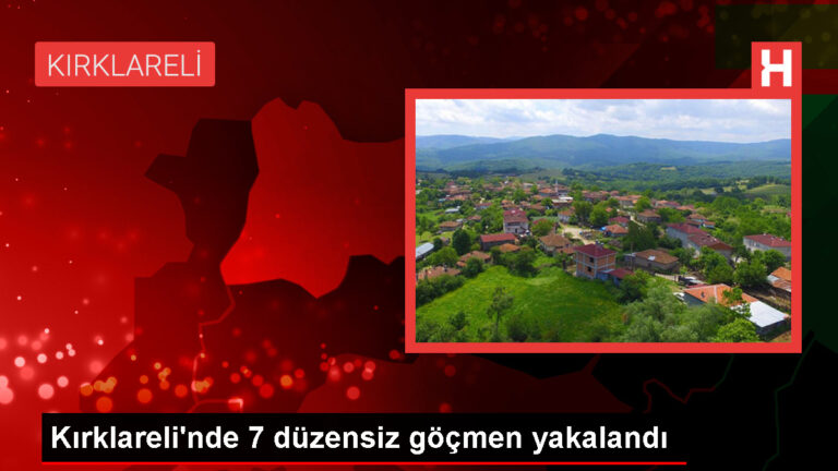 Kırklareli’nde 7 düzensiz göçmen yakalandı