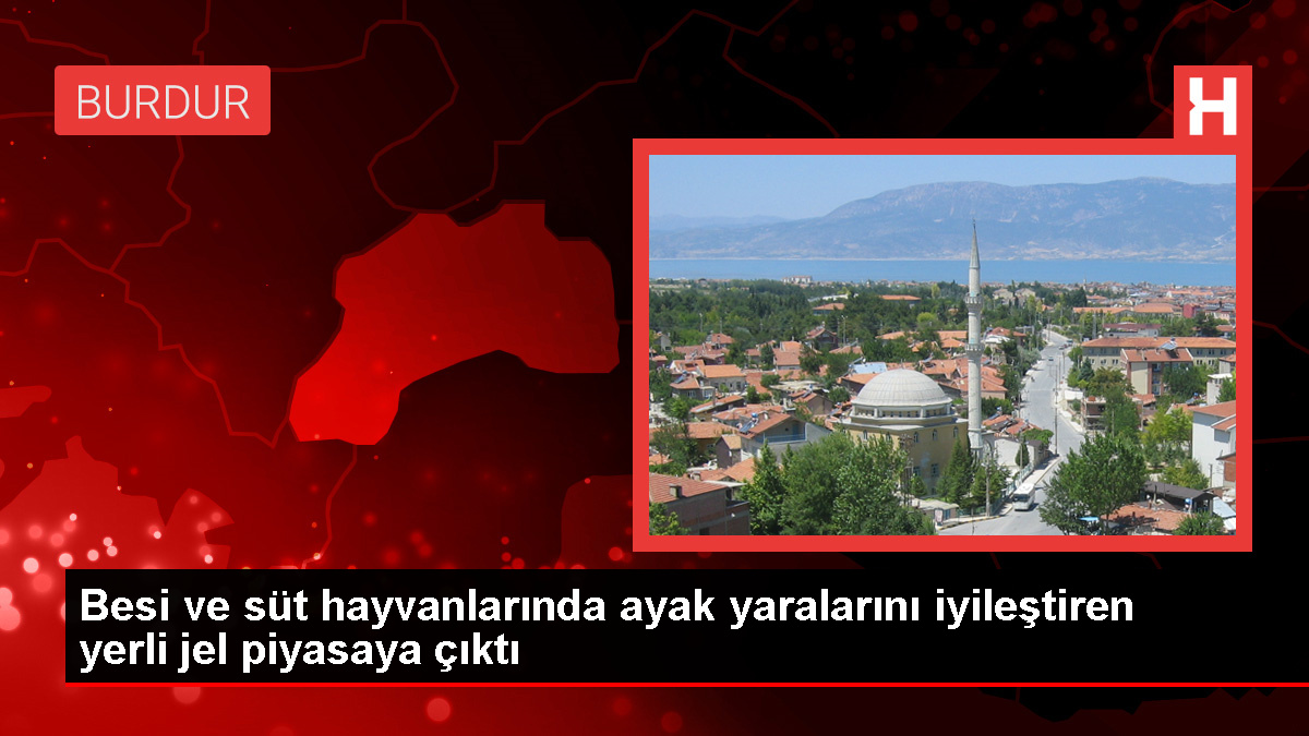 MAKÜ tarafından yerli jel üretildi, hayvanların ayak ve tırnak yaralarına tahlil