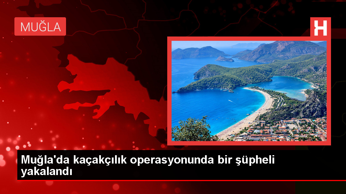 Muğla’da Kaçak Sigara Operasyonu: Bir Şüpheli Gözaltına Alındı