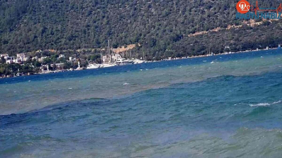 Muğla’nın Bodrum ilçesinde tesirli olan fırtına günlük ömrü olumsuz etkiledi