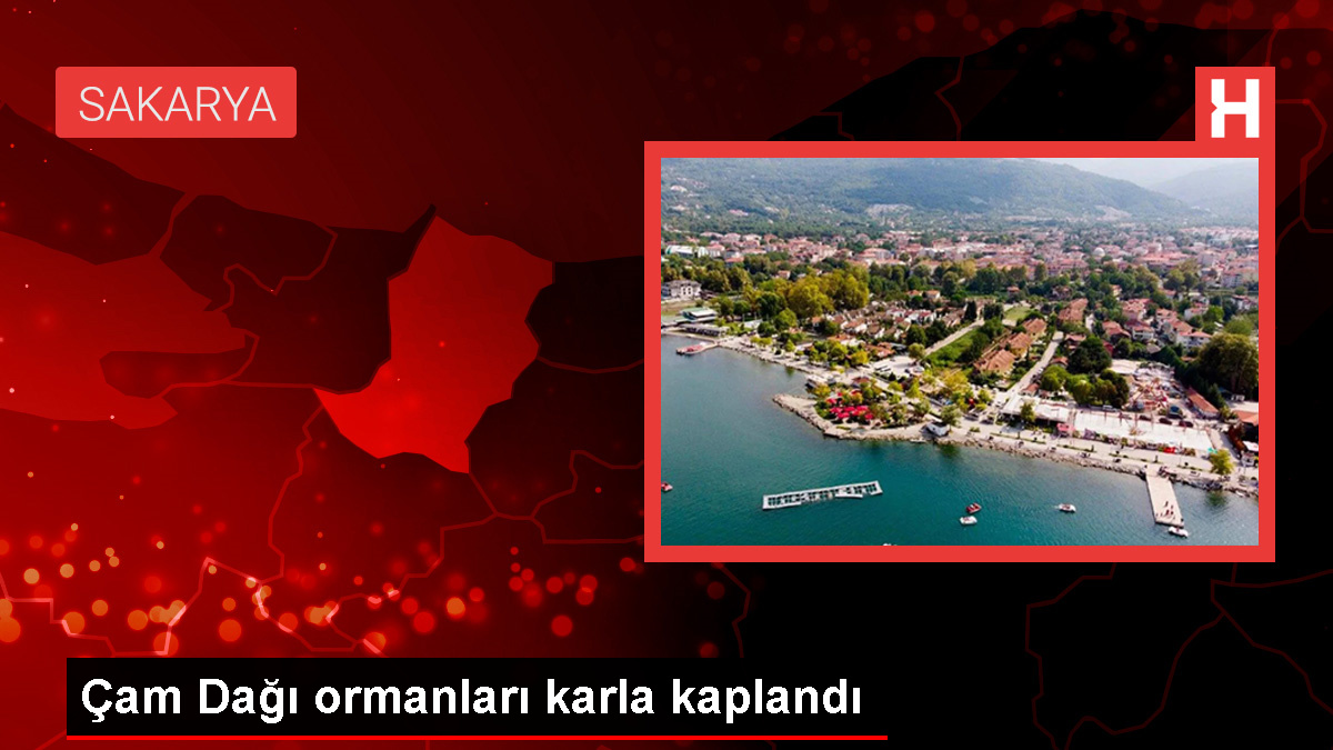 Sakarya’da Çam Dağı karla kaplandı