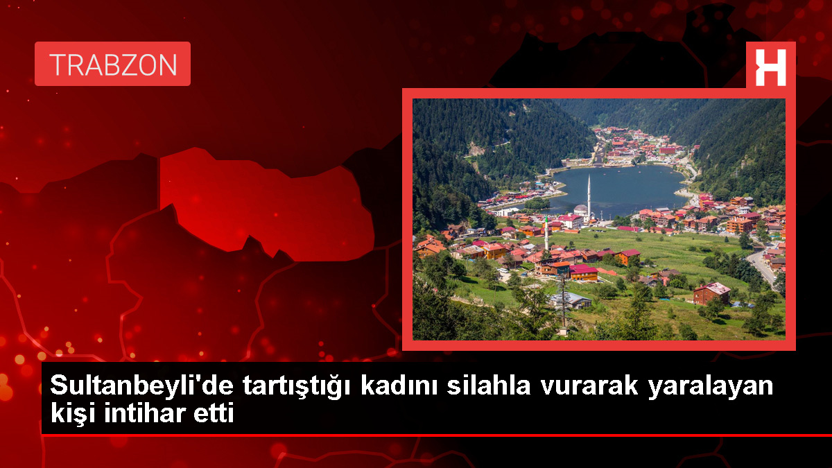 Sultanbeyli’de Düğün Salonunda Tartışma Sonucu Silahlı Atak ve İntihar