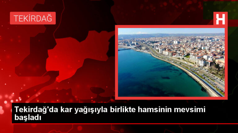 Tekirdağ’da Kar Yağışı Sonrası Hamsi Bolluğu