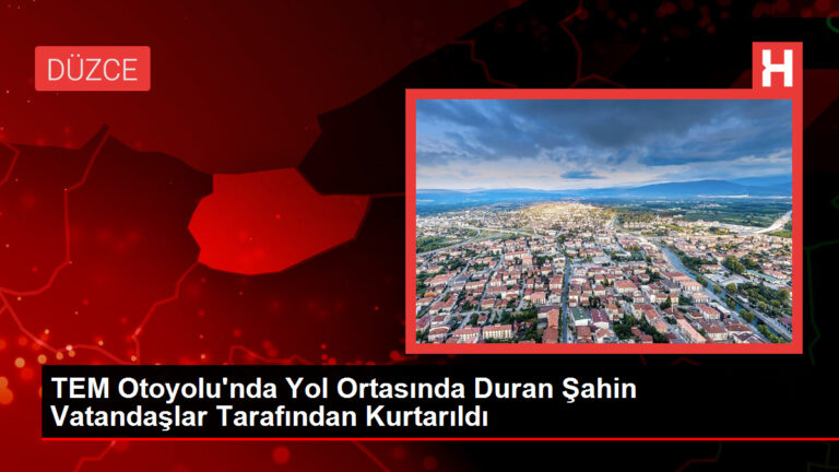 TEM Otoyolu’nda Yol Ortasında Duran Şahin Vatandaşlar Tarafından Kurtarıldı