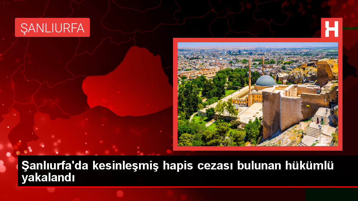 Viranşehir’de 14 Yıl Hapis Cezası Olan Hükümlü Yakalandı