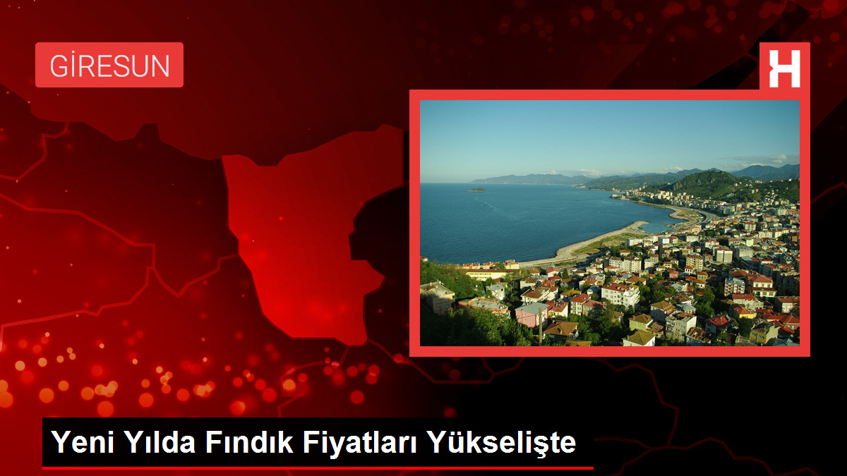 Yeni Yılda Fındık Fiyatları Yükselişte