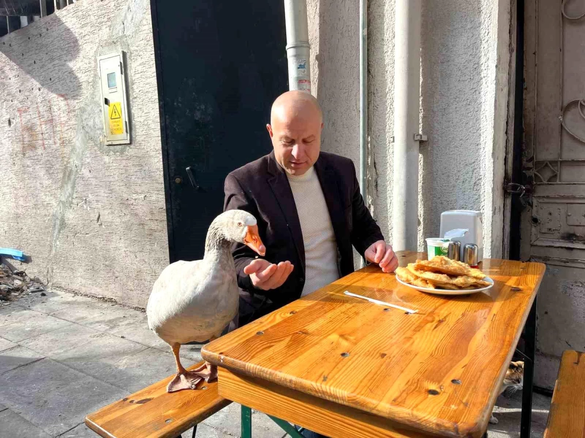 Yılmaz Evcenler, Eskişehir’de Çi Börek Tadı