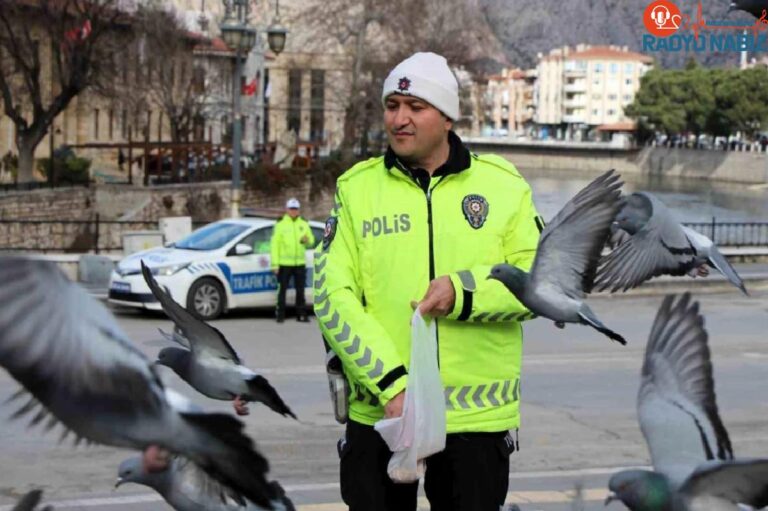 Amasya’da trafik polisi güvercinleri besledi