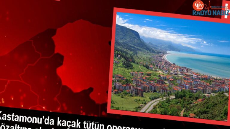 Kastamonu’da Kaçak Tütün Operasyonu: Bir Kişi Yakalandı