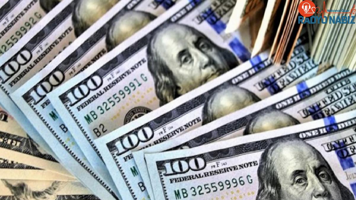 Merkez Bankası Başkanı Hafize Gaye Erkan’ın istifası sonrası dolar kurunda hareketlilik