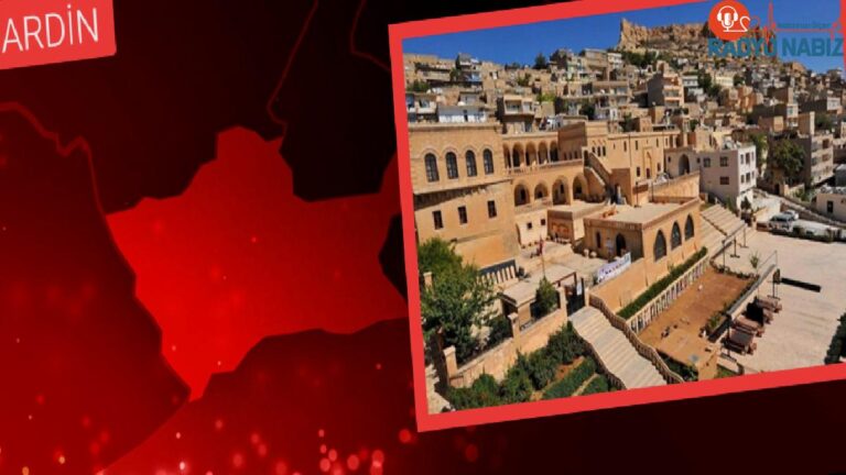 Mardin’de park halindeki otomobil alev topuna döndü