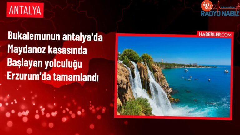 Antalya’dan Erzurum’a gönderilen maydanoz kasasına giren bukalemun 1200 kilometre yol kat etti