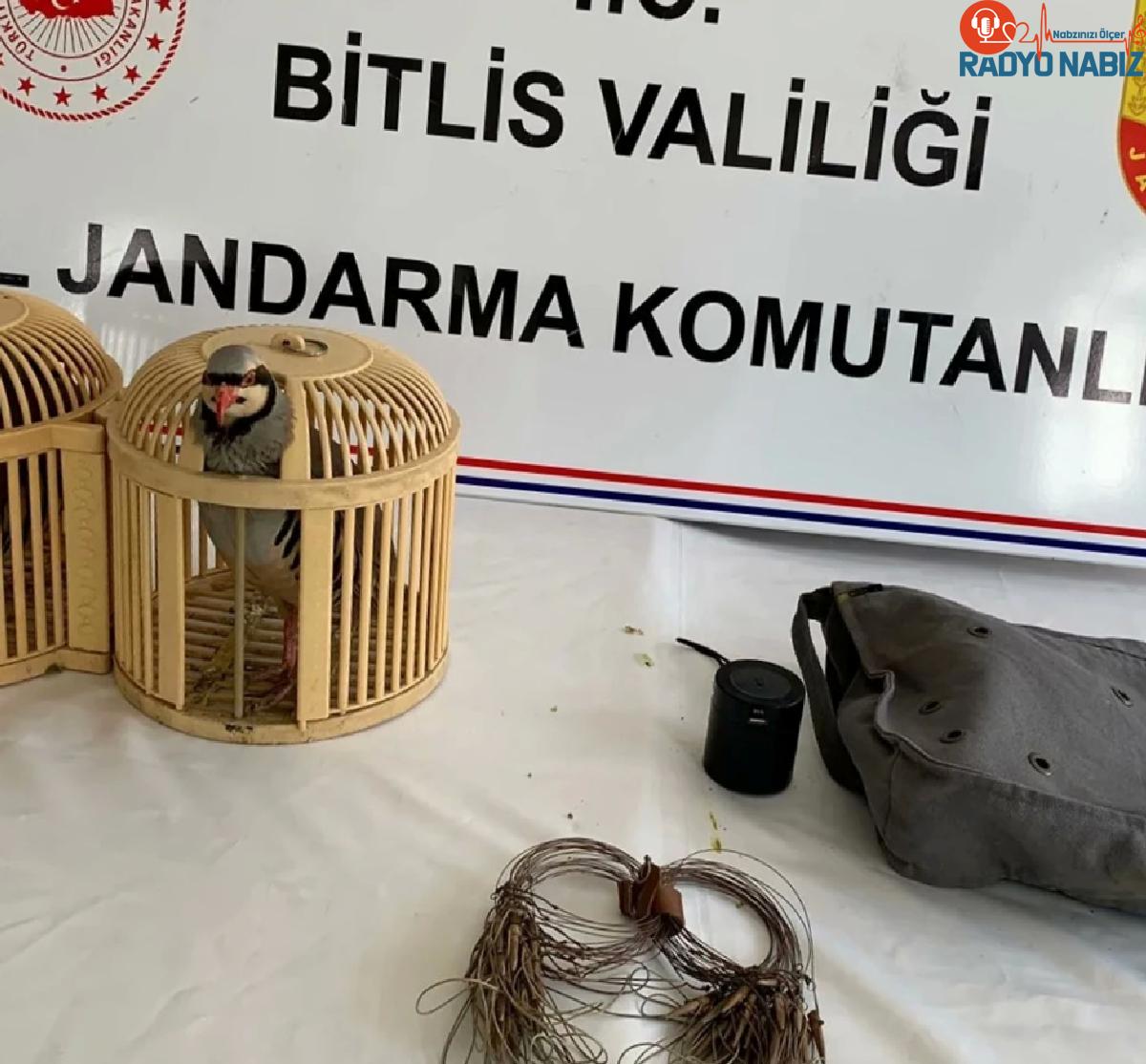 Bitlis’te 3 Keklik ve Av Malzemeleriyle Yakalananlara Yüksek Cezalar