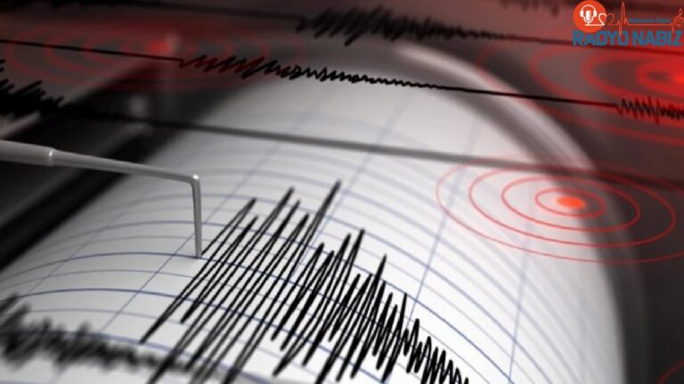 Bingöl’de korkutan deprem! Sarsıntı etraf vilayetlerde de hissedildi