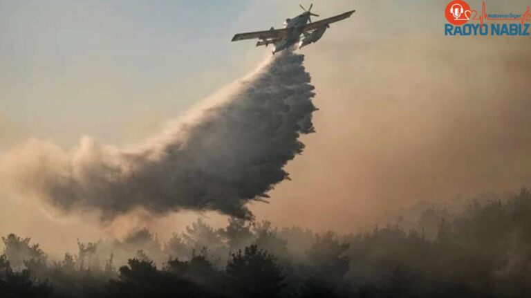 Çanakkale Eceabat’ta dünden beri devam eden orman yangını denetim altına alındı