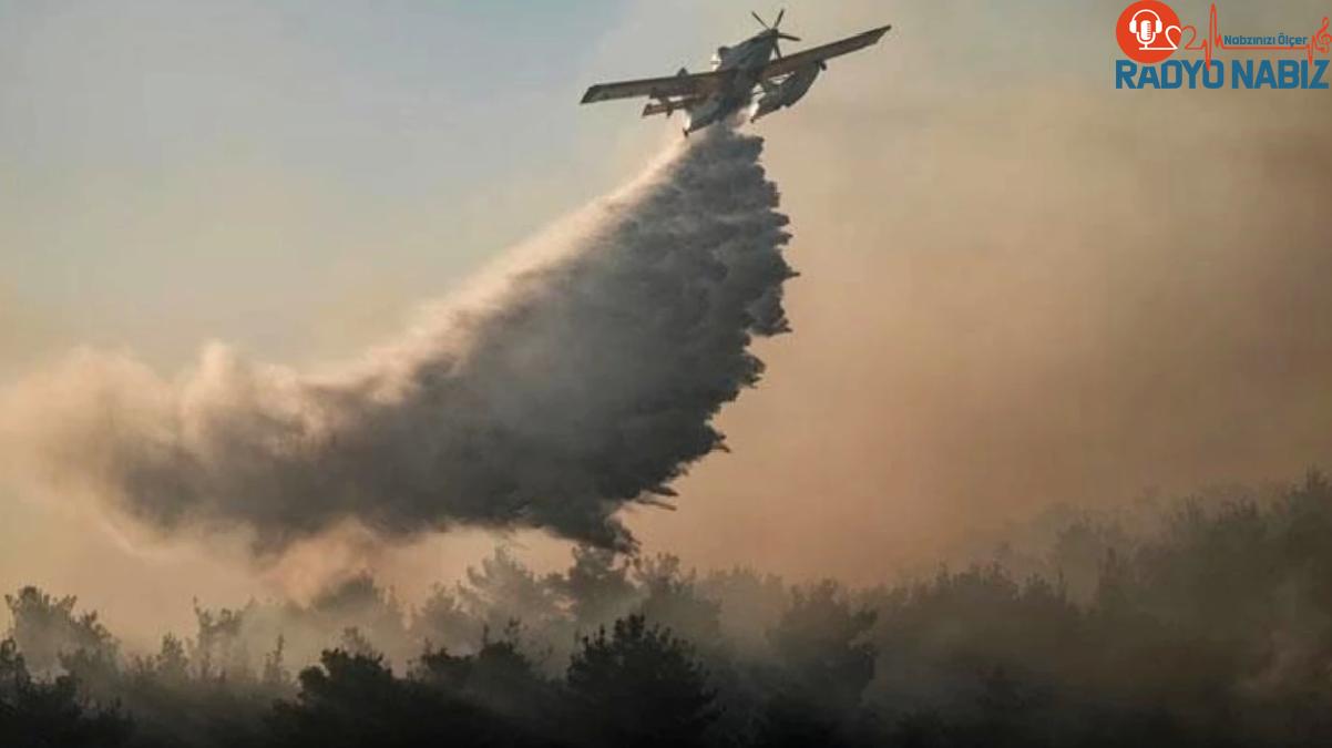 Çanakkale Eceabat’ta dünden beri devam eden orman yangını denetim altına alındı